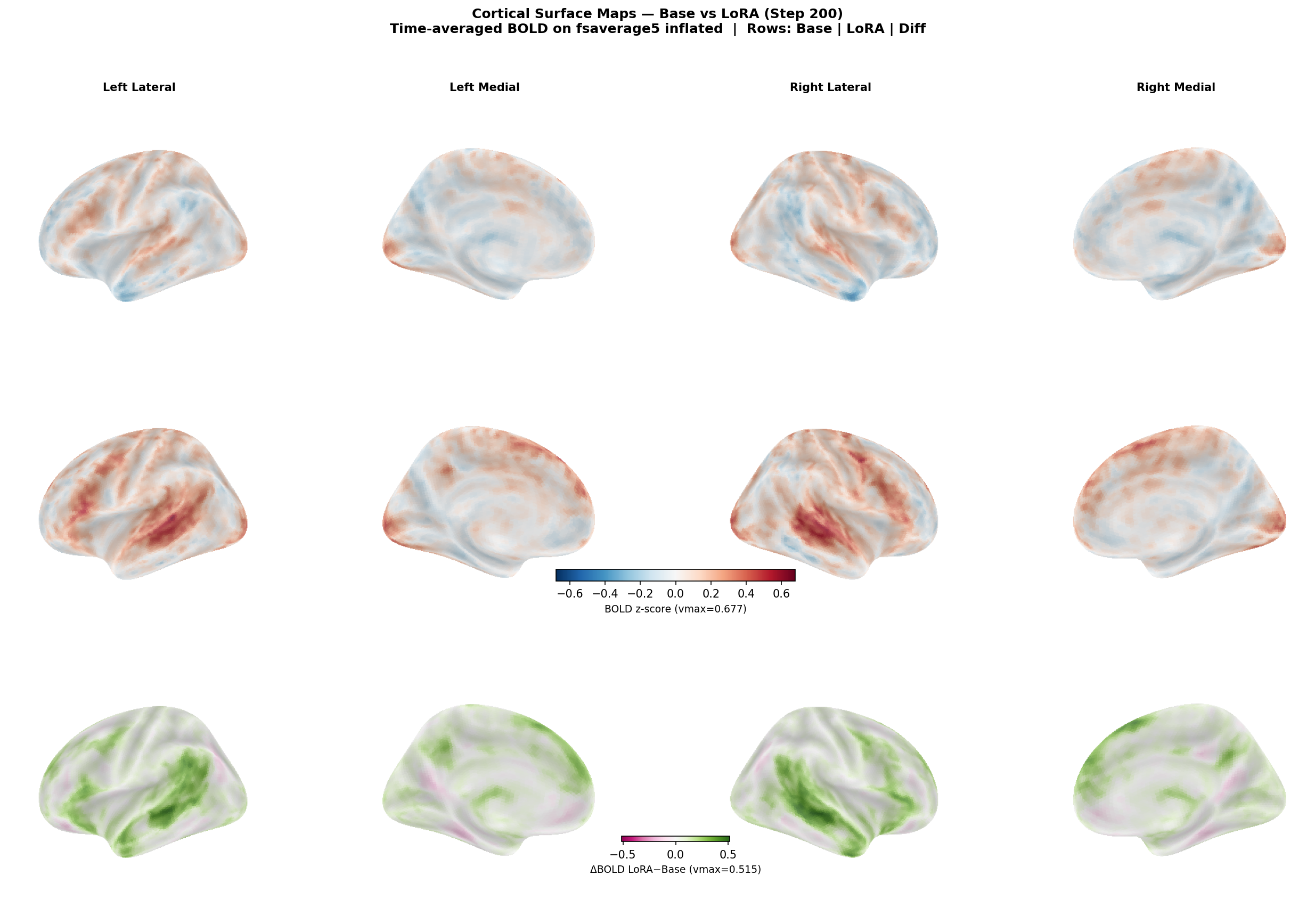 Cortical surface maps — base, LoRA, difference